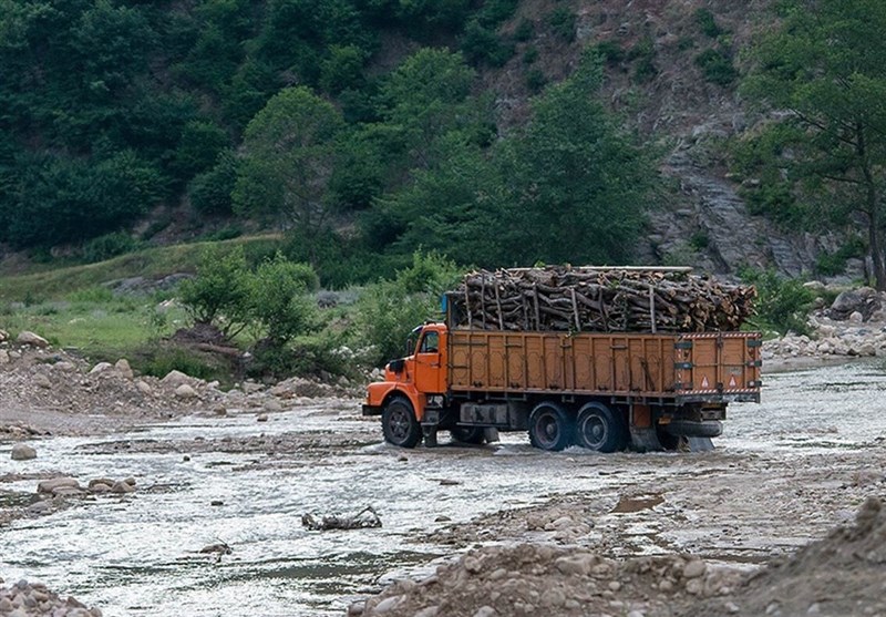 ۱۲۰ تُن چوب قاچاق در مهاباد کشف شد