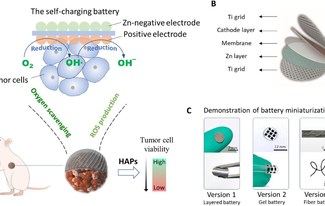ساخت باتری قابل کاشت برای کمک به از بین بردن تومور‌های سرطانی