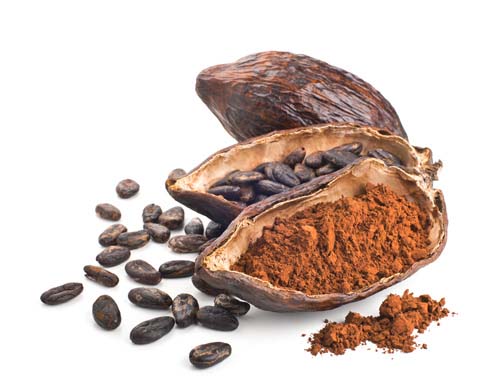 ۱۱ خاصیت شگفت‌انگیز پودر کاکائو برای سلامتی