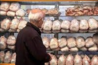 مدیریت بازار با توزیع مرغ گرم و منجمد