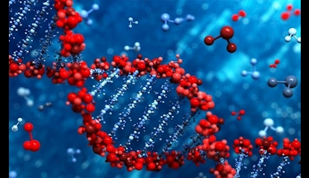 ویروس‌های باستانی در DNA انسان ،کلید مبارزه با سرطان