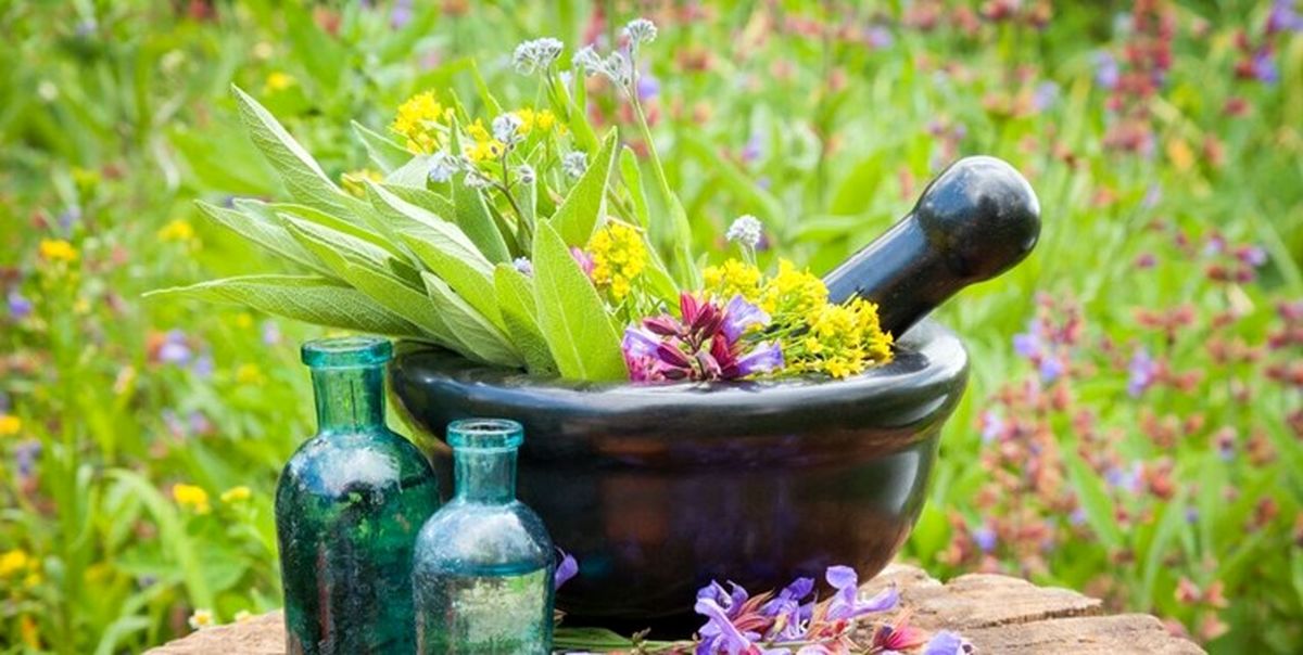 طب سنتی و توصیه های غذایی برای فصل بهار