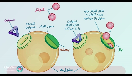 روزه داری در بیماران مبتلا به دیابت نوع ۲