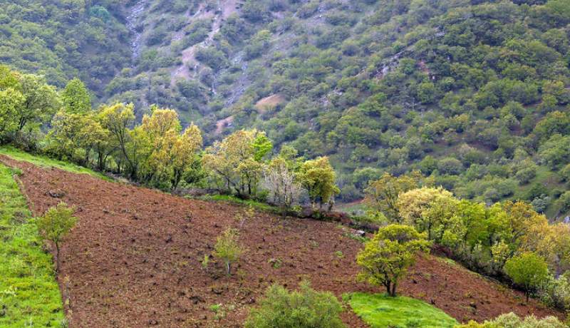 حفاظت از عرصه های منابع طبیعی ملی در سمنان