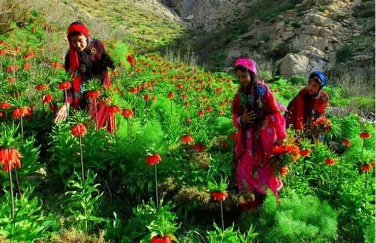 جاذبه های گردشگری چهارمحال و بختیاری آماده پذیرایی از مسافران نوروزی