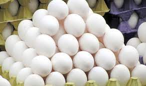 تولید سالانه بیش از ۱۵۰۰ تن تخم مرغ در دزفول