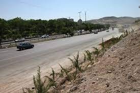 حاشیه جاده‌های استان سبز می‌شوند