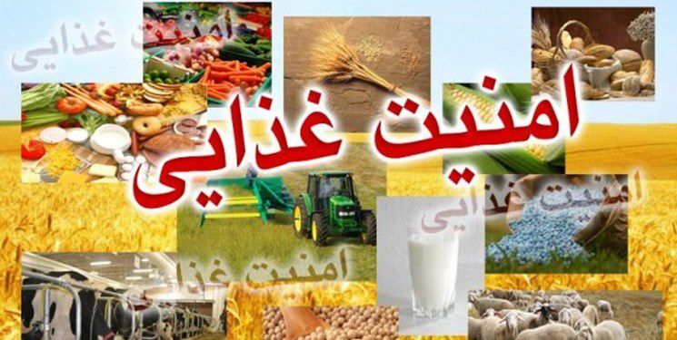 اجرای طرح ارتقای امنیت غذایی کودکان در سبزوار