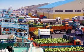 رشد ۱۸ درصدی صادرات محصولات غذایی و کشاورزی به آفریقا