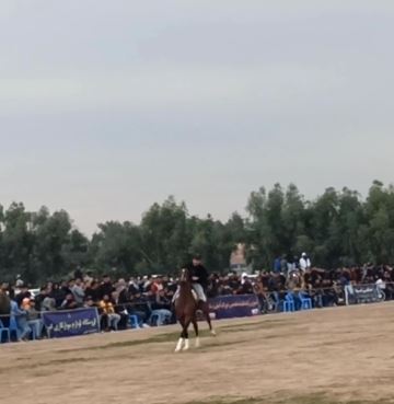 برگزاری نخستین دوره شو سواره اسب در شوش
