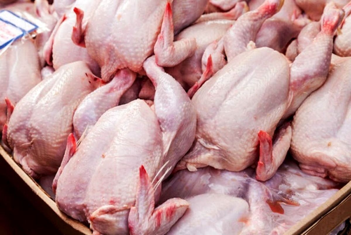 قیمت گوشت مرغ در مشهد به زیر نرخ مصوب رسید