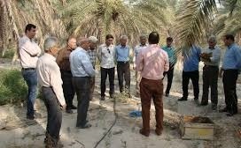 اجرای طرح پایش آفت چوبخوار در نخلستان‌های خرمشهر