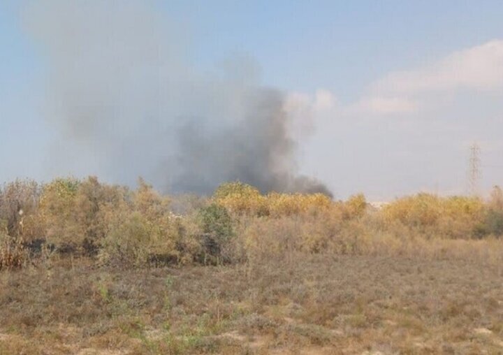 مهار آتش سوزی در روستای چاه شور گناوه
