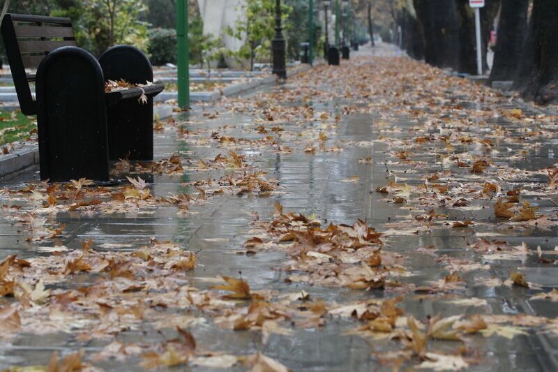 آسمان ابری با احتمال بارش پراکنده در مناطق شمال شرقی خراسان جنوبی