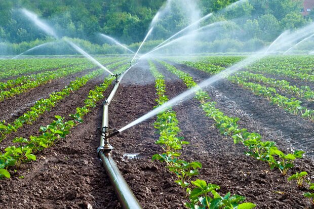 اجرای سیستم هوشمند آبیاری در ۲۰ هکتار از زمین‌های کشاورزی تویسرکان