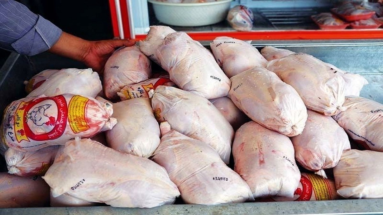 تشکیل ۲۲۲ پرونده تخلف عرضه مرغ در همدان 