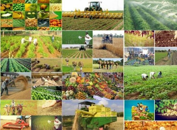 بهره برداری از ۶۷۶ طرح عمرانی کشاورزی در استان اصفهان