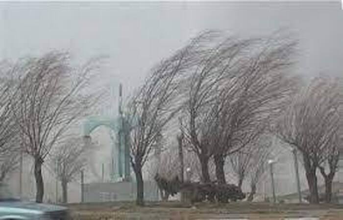 وزش تندباد و گرد و خاک شدید در استان کرمان