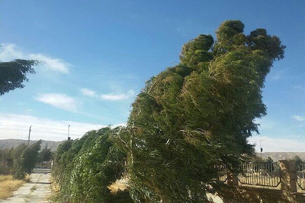 وزش باد شدید در استان مرکزی