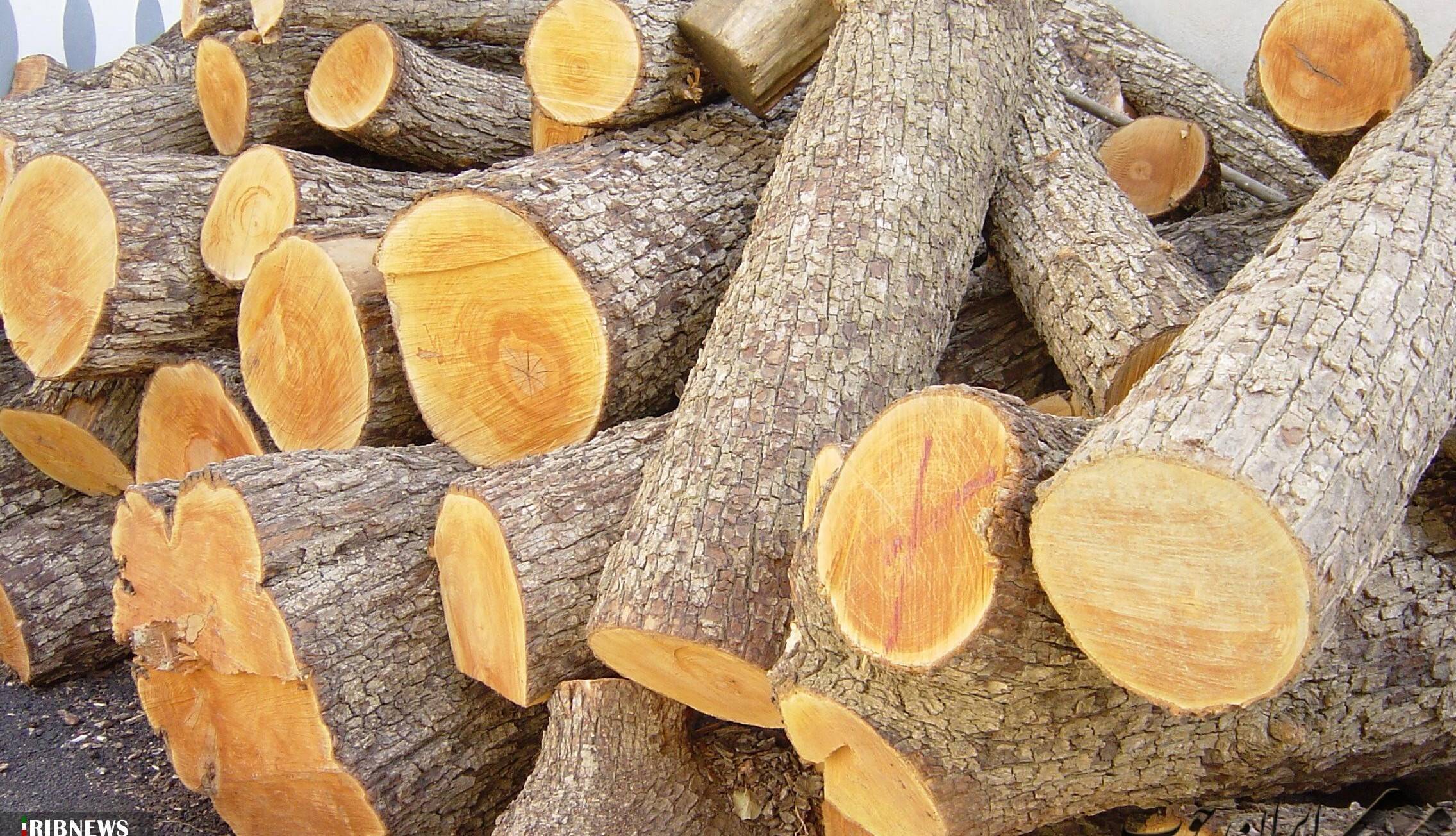 کشف بیش از ۳ تن چوب قاچاق در شهرستان فردوس