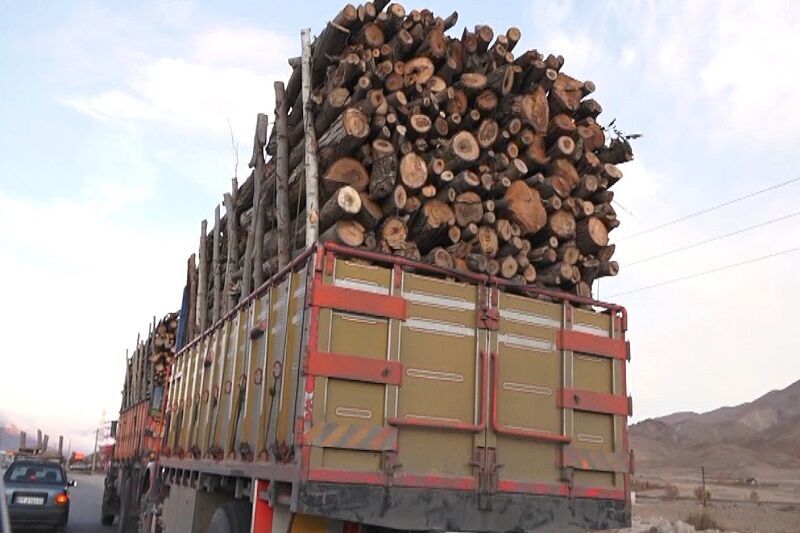 کشف ۱۰ تن چوب قاچاق در شهرستان بهار