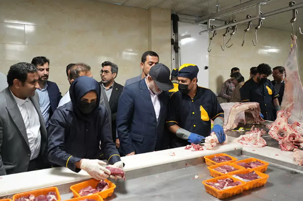 راه‌اندازی کارخانه فرآوری گوشت قرمز در بوشهر