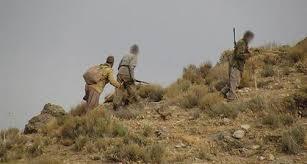 دستگیری شکارچیان در ارتفاعات برنجان کرمانشاه