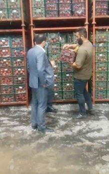 ذخیره سازی ۳۰۰ تن سیب و ۵۰۰ تن پرتقال والنسیا در استان یزد