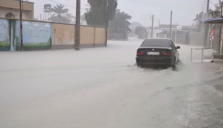 دیلم رکوردار بیشترین باران در استان بوشهر
