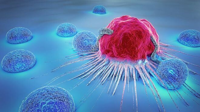 کشف روش نوین مبارزه با سرطان با مطالعات محققان بهبهان و آلمان