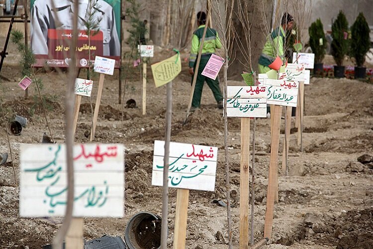 هر درخت به یاد یک «شهید»، کاشت ۵ میلیون نهال در خوزستان