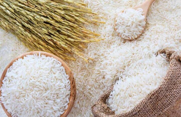 اختصاص ۴۰ هزار میلیارد ریال اعتبار برای خرید تضمینی برنج مازندران