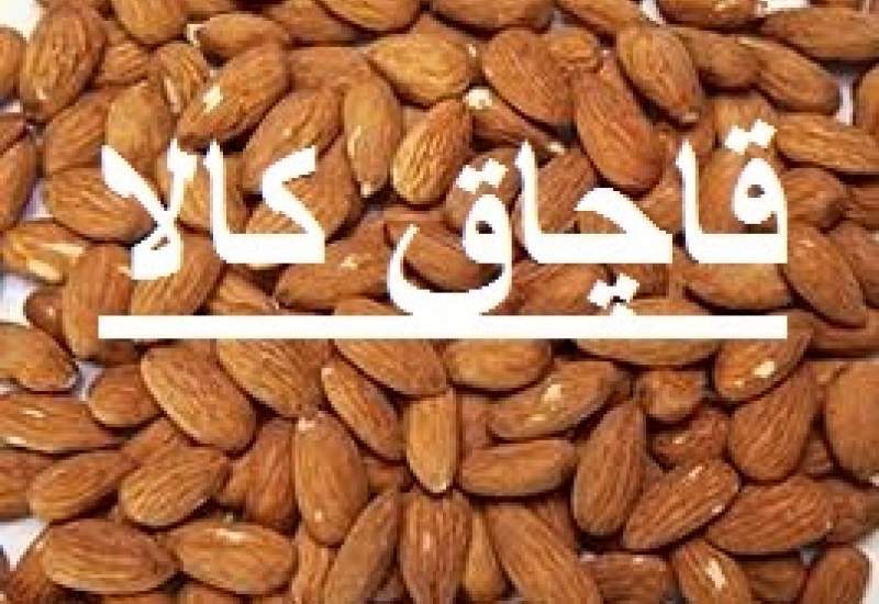 جریمه سنگین برای قاچاقچی بادام