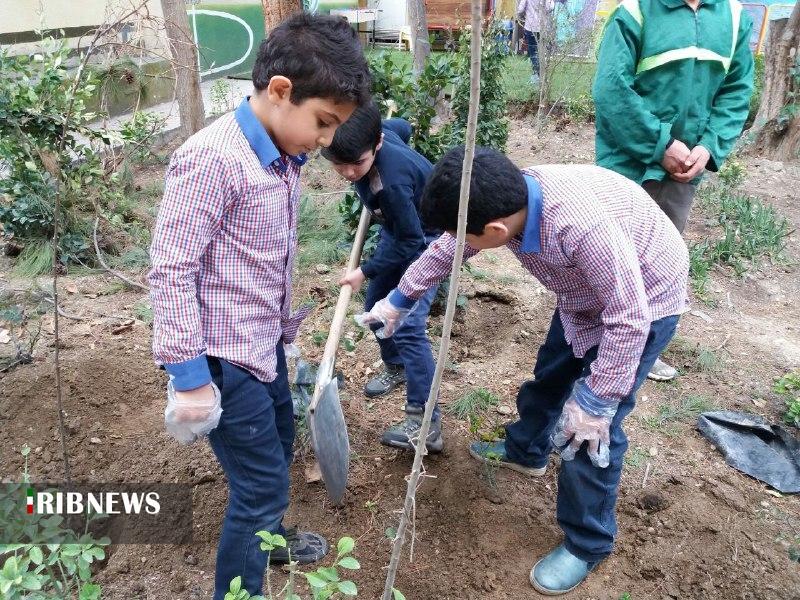 مدارس آذربایجان شرقی سبز می‌شوند