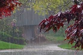 میانگین ۳۰۲ میلیمتری بارندگی در کهگیلویه و بویراحمد