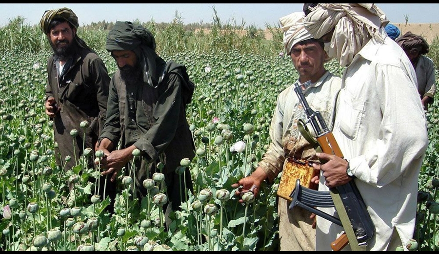 تاکید حکومت سرپرست افغانستان بر همکاری ایران برای مبارزه با مواد مخدر