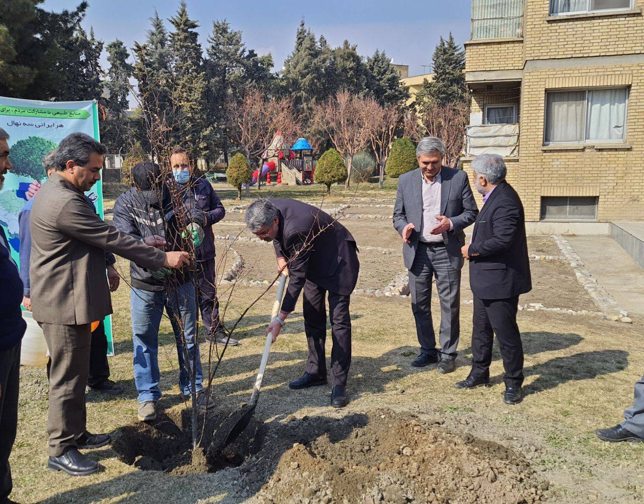 کاشت نهال در صداوسیمای خراسان رضوی