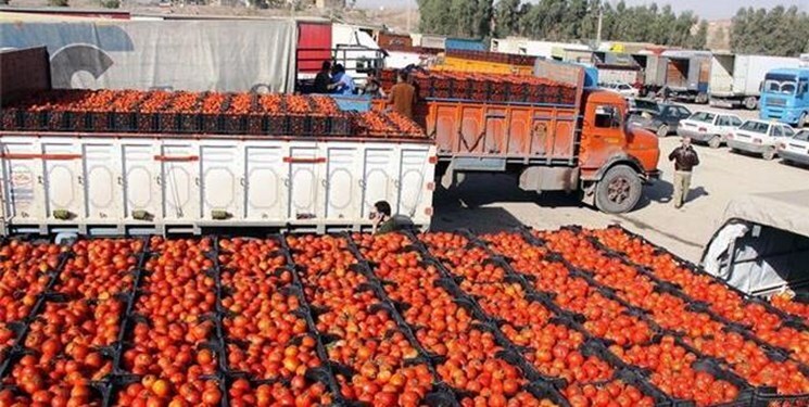 صادرات محصولات غذایی و کشاورزی افزایش یافت