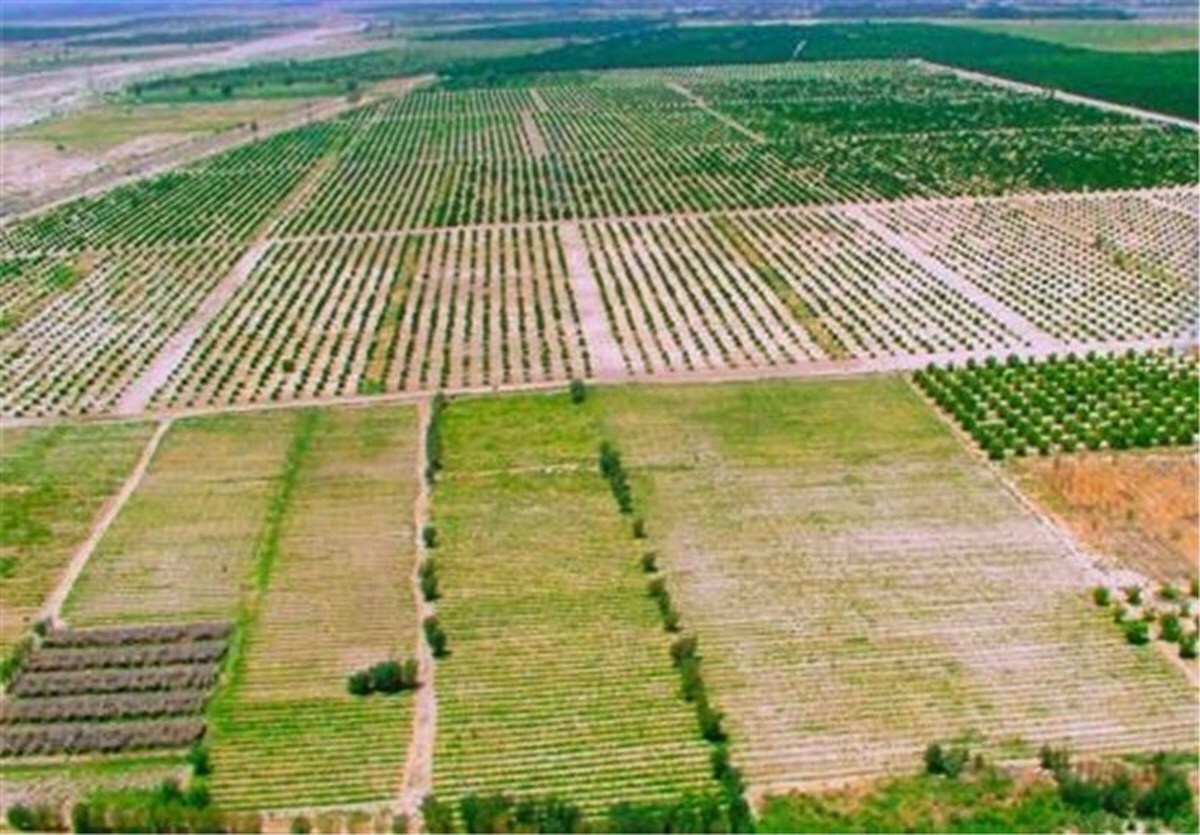صدور ۶۴ هزار سند تک‌برگی زمینهای کشاورزی در آذربایجان‌غربی