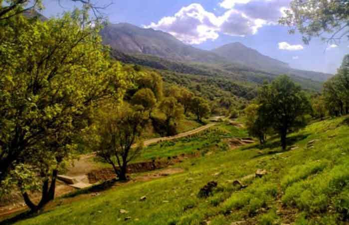 ضرورت توجه به حفظ منابع طبیعی و توسعه فضای سبز