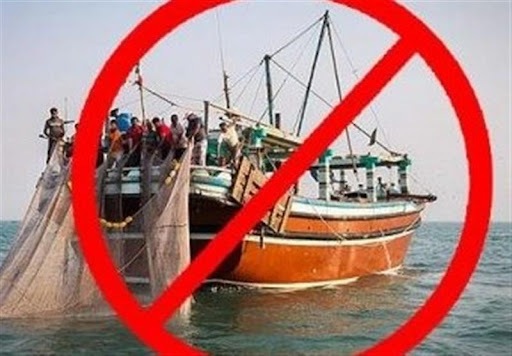 ممنوعیت صید ماهی همزمان با فصل تخم‌ریزی در خوزستان