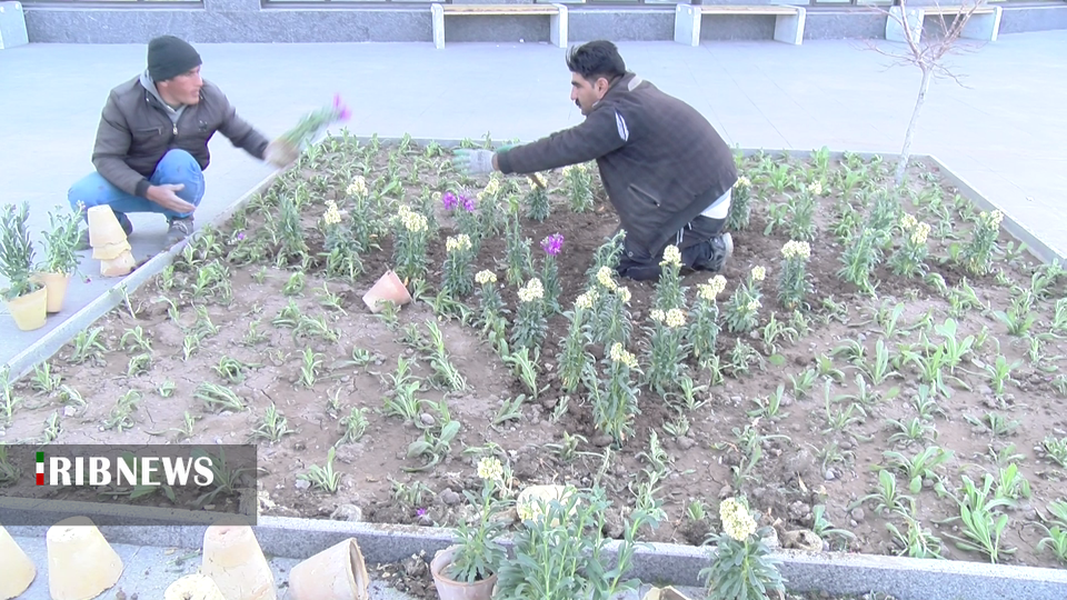 کاشت ۱۵ هزار گلدان برای استقبال از سال نو در مراغه