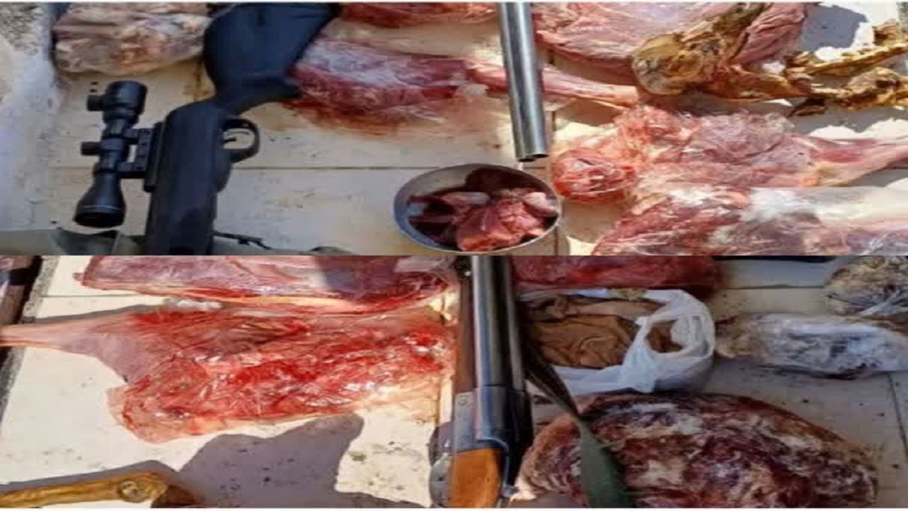 دستگیری شکارچی منطقه حفاظت شده قمصر و برزک با ۱۸ قطعه لاشه