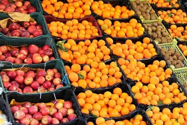 عرضه مستقیم میوه تنظیم بازار در استان یزد