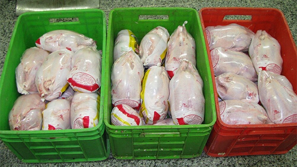 توزیع ۵۰ تن مرغ منجمد در بازار ایلام