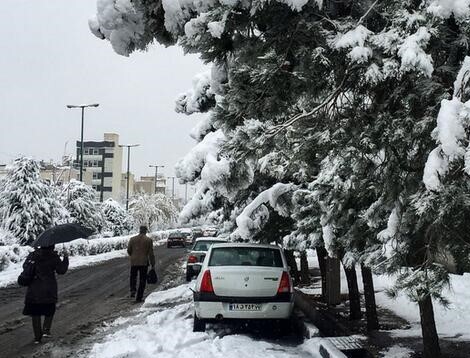 بیش از ۹ ساعت بارش برف در مشهد، امروز دوشنبه