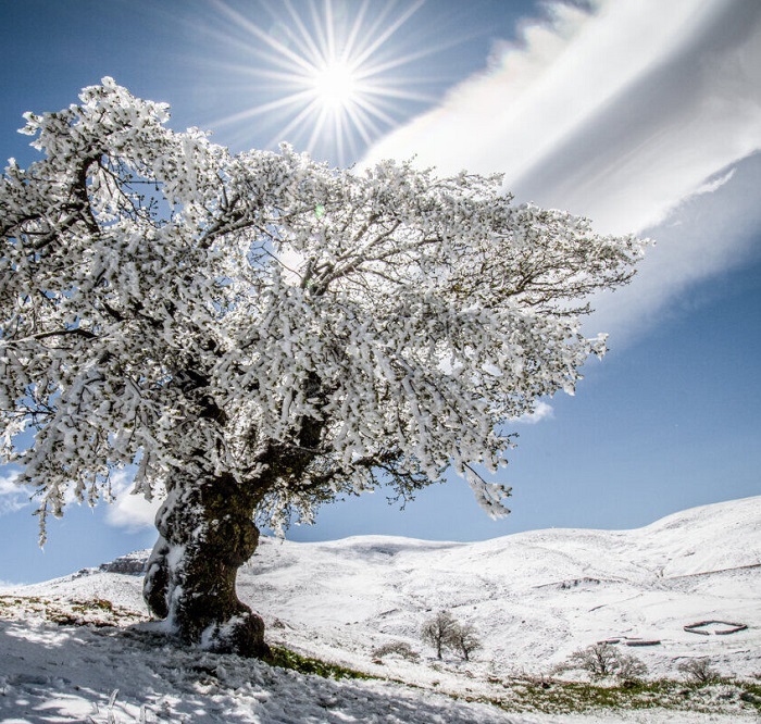 سرمای زمستانی در جنوب آذربایجان‌غربی تا پایان هفته تداوم دارد