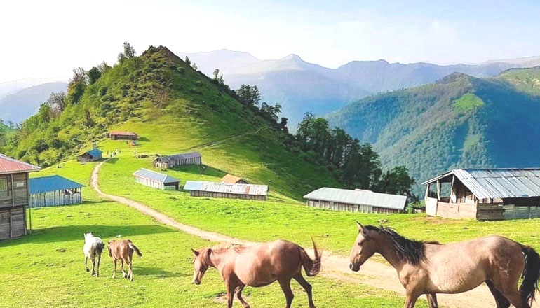 رنگ و بوی تابستانی هوای گیلان در نخستین روز ادیبهشت