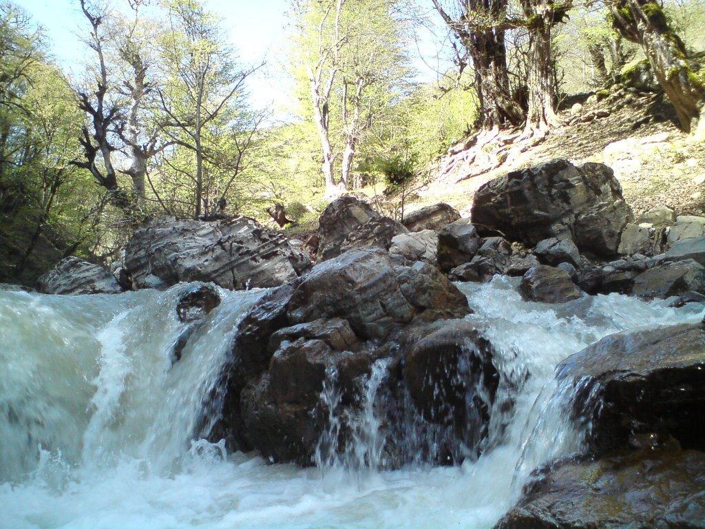 کشف جسد نوجوان پره سری در رودخانه شفارود