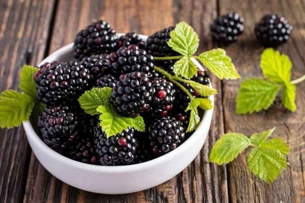 توت سیاه، سوغات بهار برای افراد کم خون و دیابتی